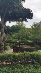 Blk 512 Ang Mo Kio Avenue 8 (Ang Mo Kio), HDB 3 Rooms #121704552